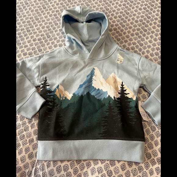 Baby Gap Mountain Fleece Hoodie NWT - Picture 3 of 7